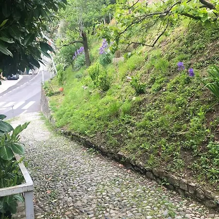 公寓 Casa Orchidea